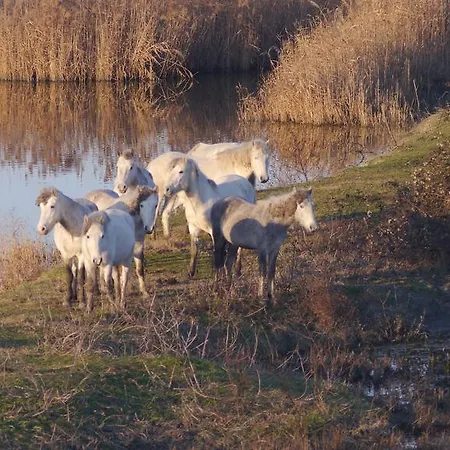 Parco Sir Apartamento Llido Degli Estensi