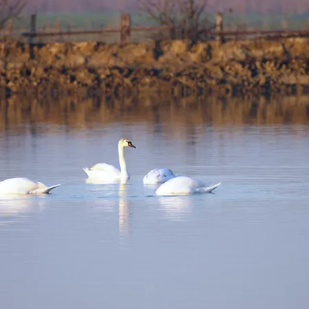 Apartamento Parco Sir