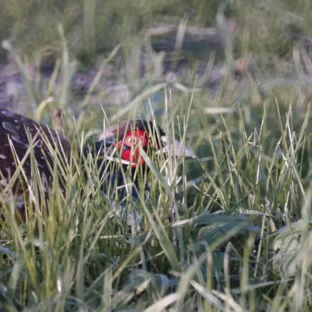 Parco Sir Appartamento Llido Degli Estensi