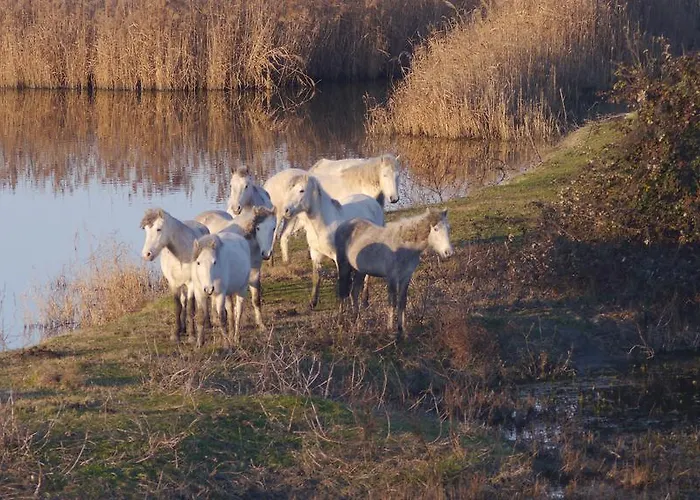 Parco Sir Apartament Llido Degli Estensi