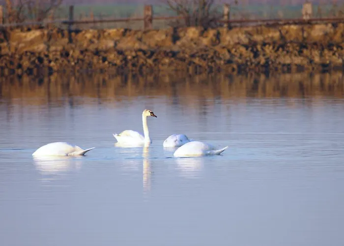 Apartament Parco Sir